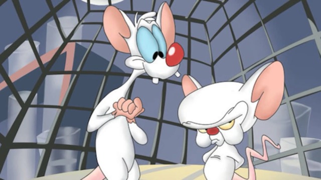 Pinky and the Brain Medium.jpeg