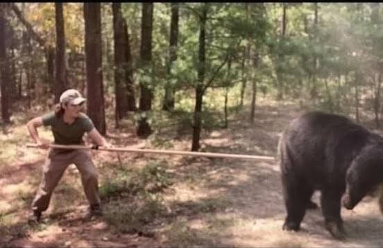Poke the Bear.jpg