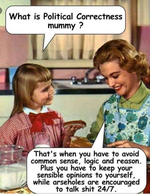political correctness.png