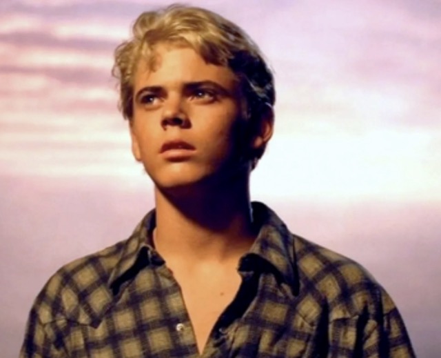 Ponyboy Curtis - Wikipedia Medium.jpeg
