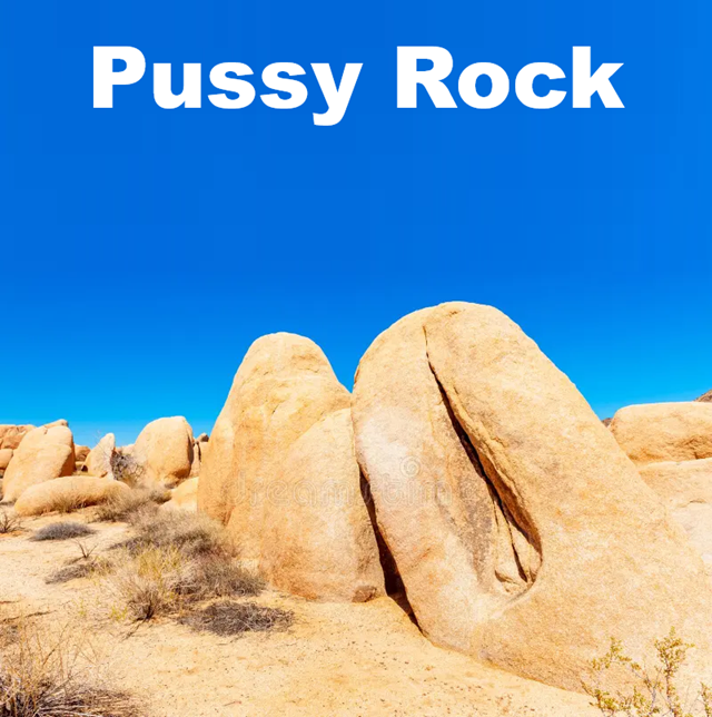 Pussy Rock.png