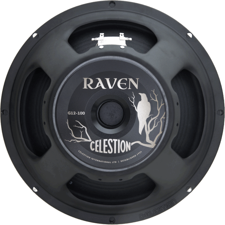 Raven-Magnet-768x769.webp