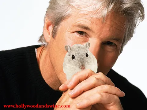 richard-gere-2.webp