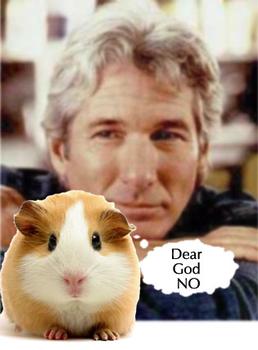 richard-gere-gerbil.jpeg
