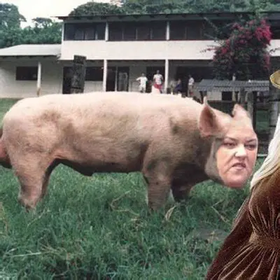Rosie the Pig.webp