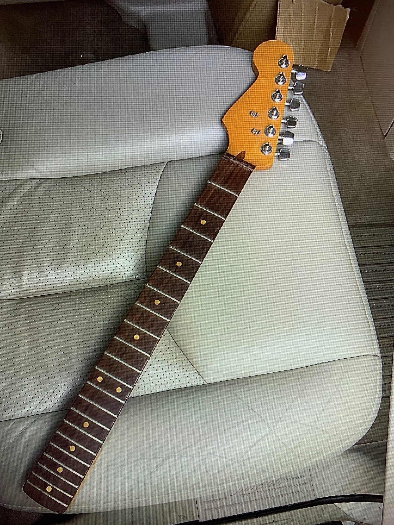 Schecter 2.jpg
