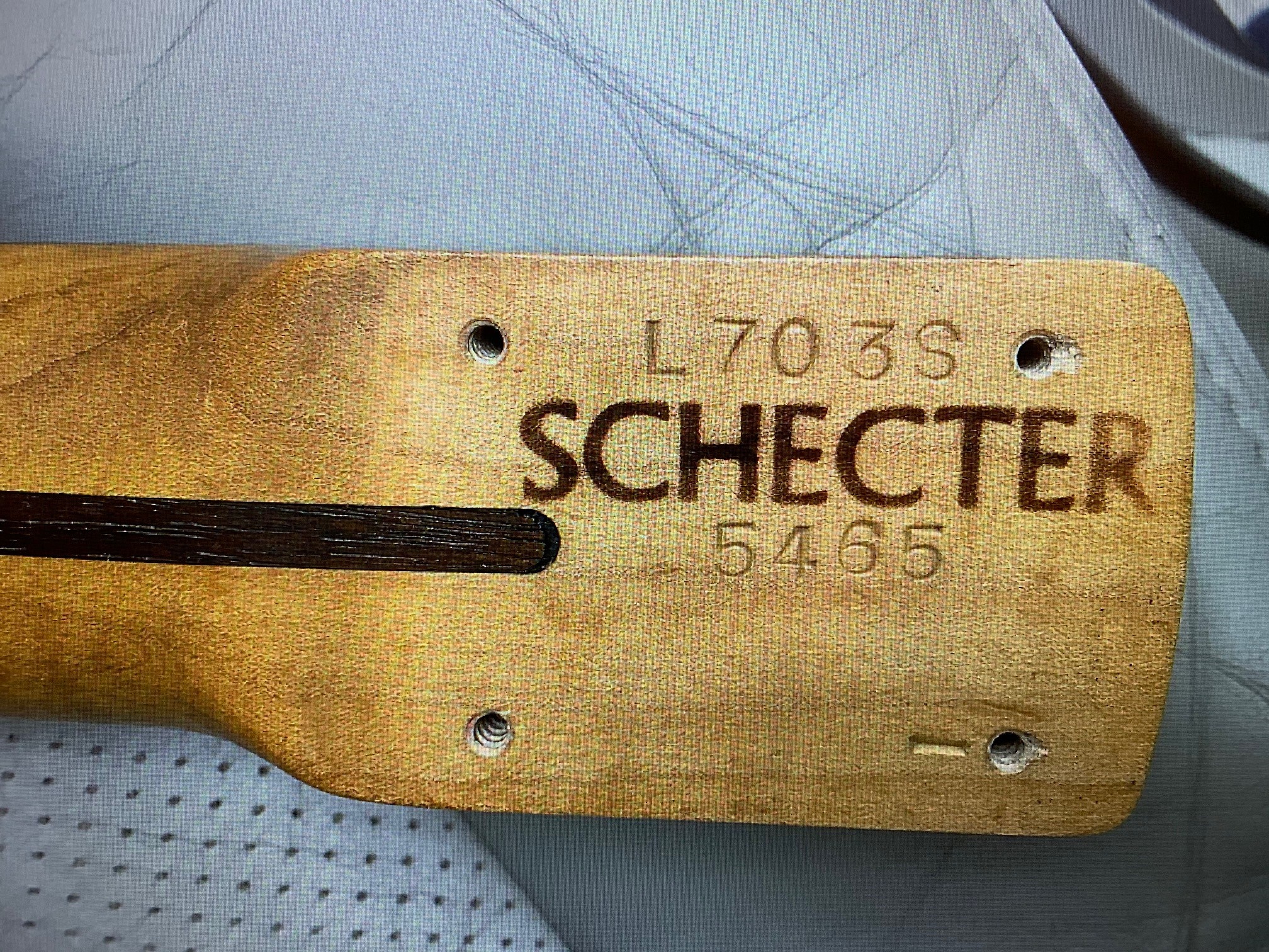 Schecter.jpg