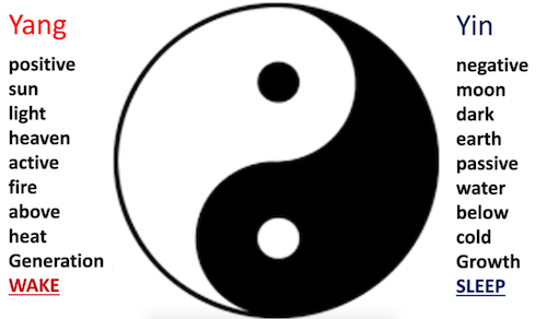 Screen Shot 2021-12-21 at 3.25.45 PM.png