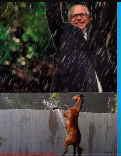 Screenshot 2024-08-10 133524.png