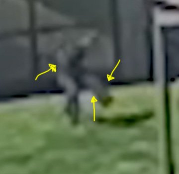 Screenshot 2025-09-24 at 9.54.41 PM.jpg