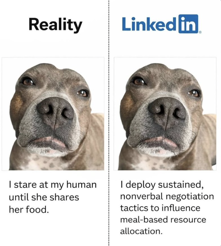 Screenshot 2026-02-15 at 4.21.46 AM.png