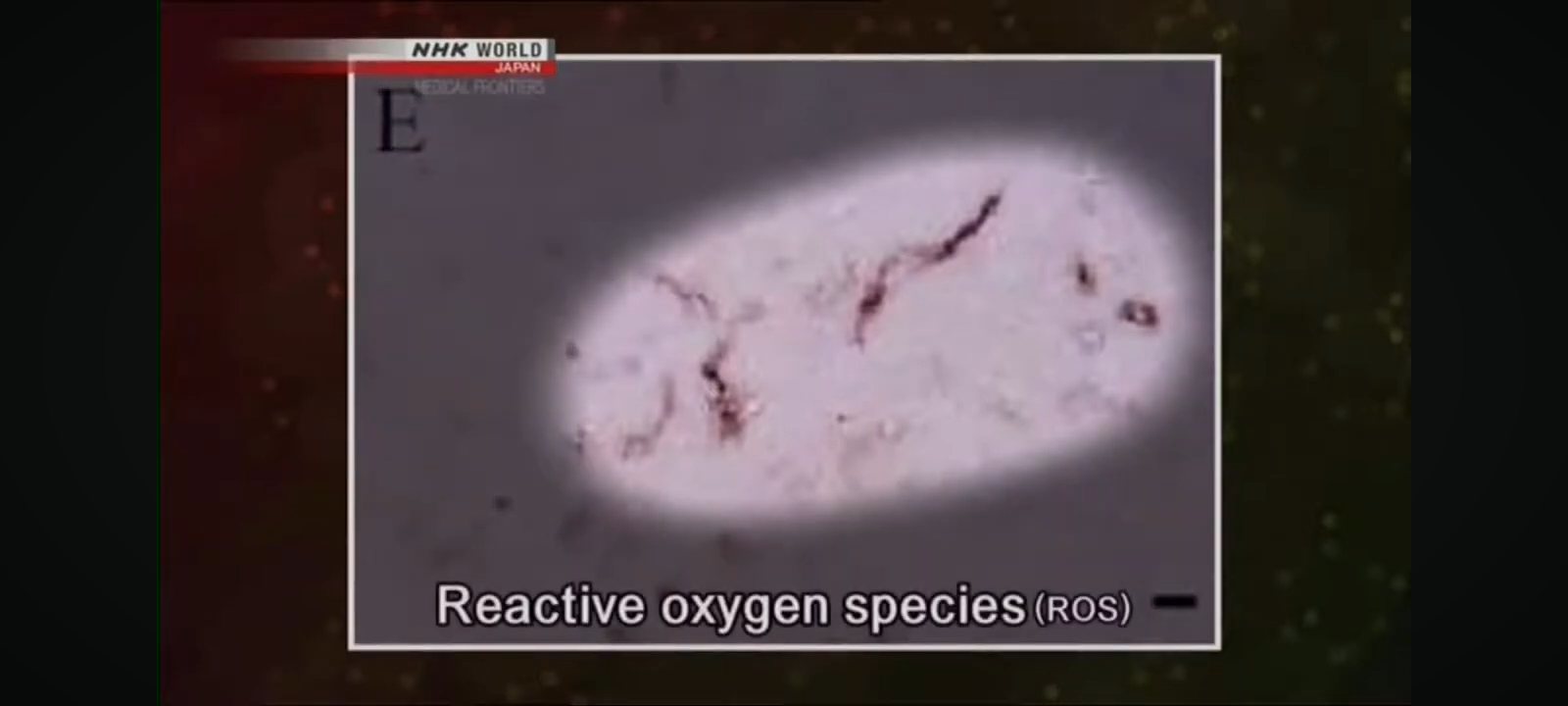 Screenshot_20250903-123305.png