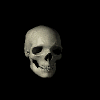 smallerskull.gif