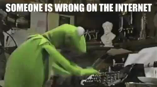 someone is wrong on the internet kermit.jpg