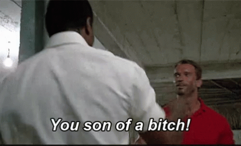 son of a bitch.gif