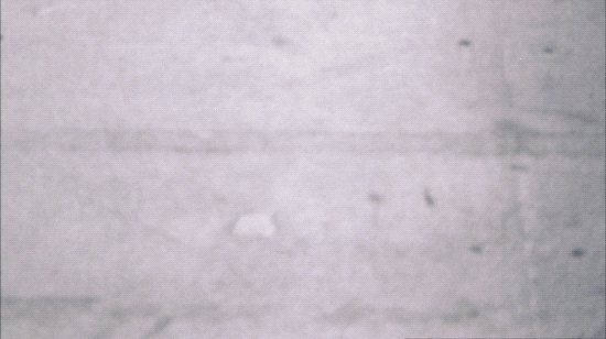 stop making sense gif.gif