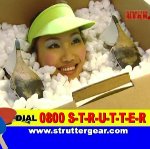 strutter 2.JPG