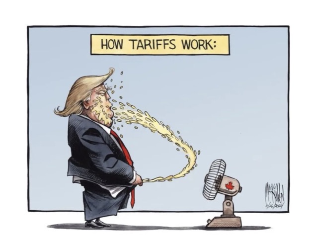 Tariffs Medium.jpeg