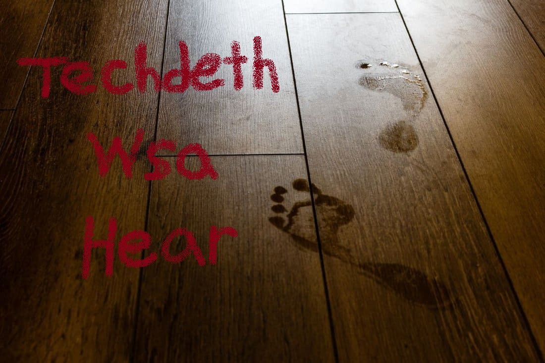 Techdeth Wsa Hear.jpg