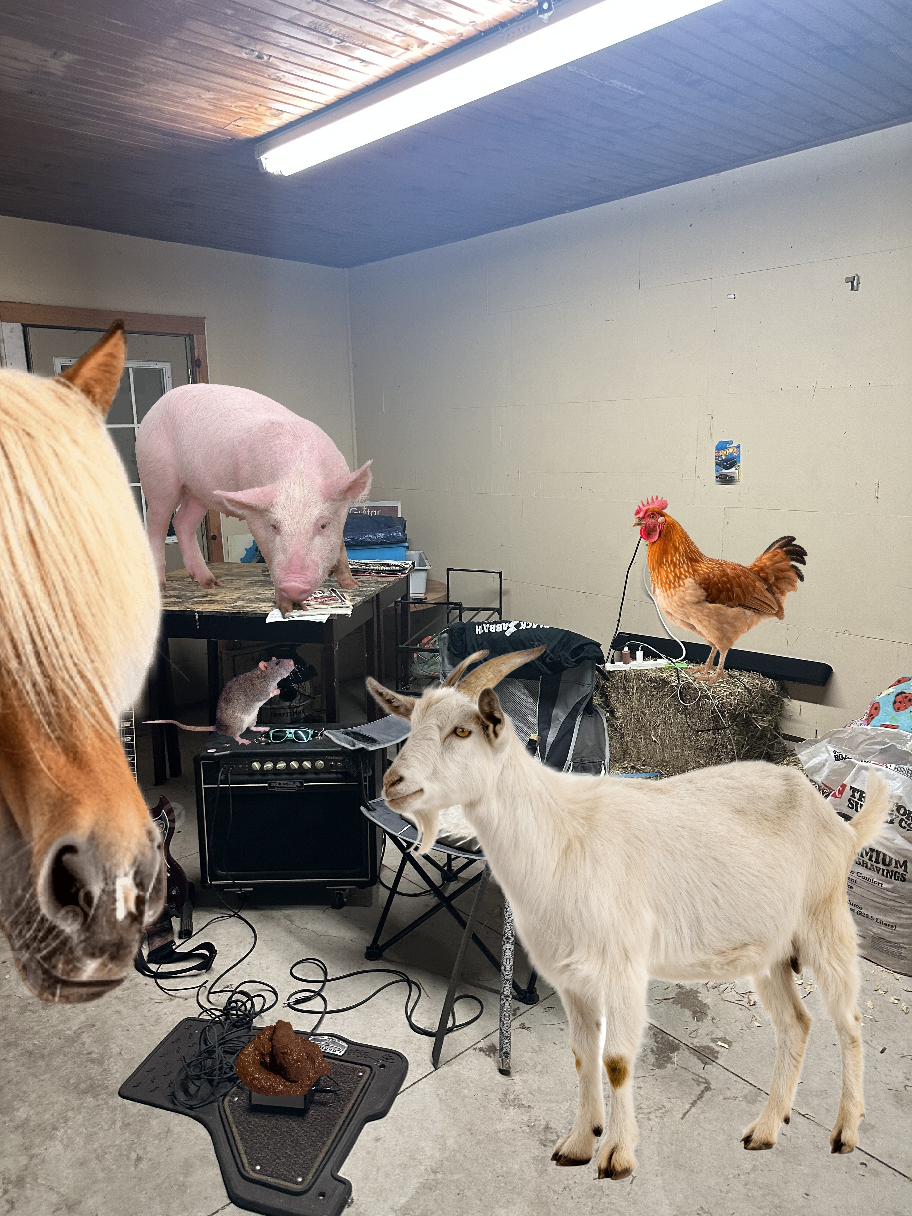 Techdeth's practice roon and petting zoo.jpeg