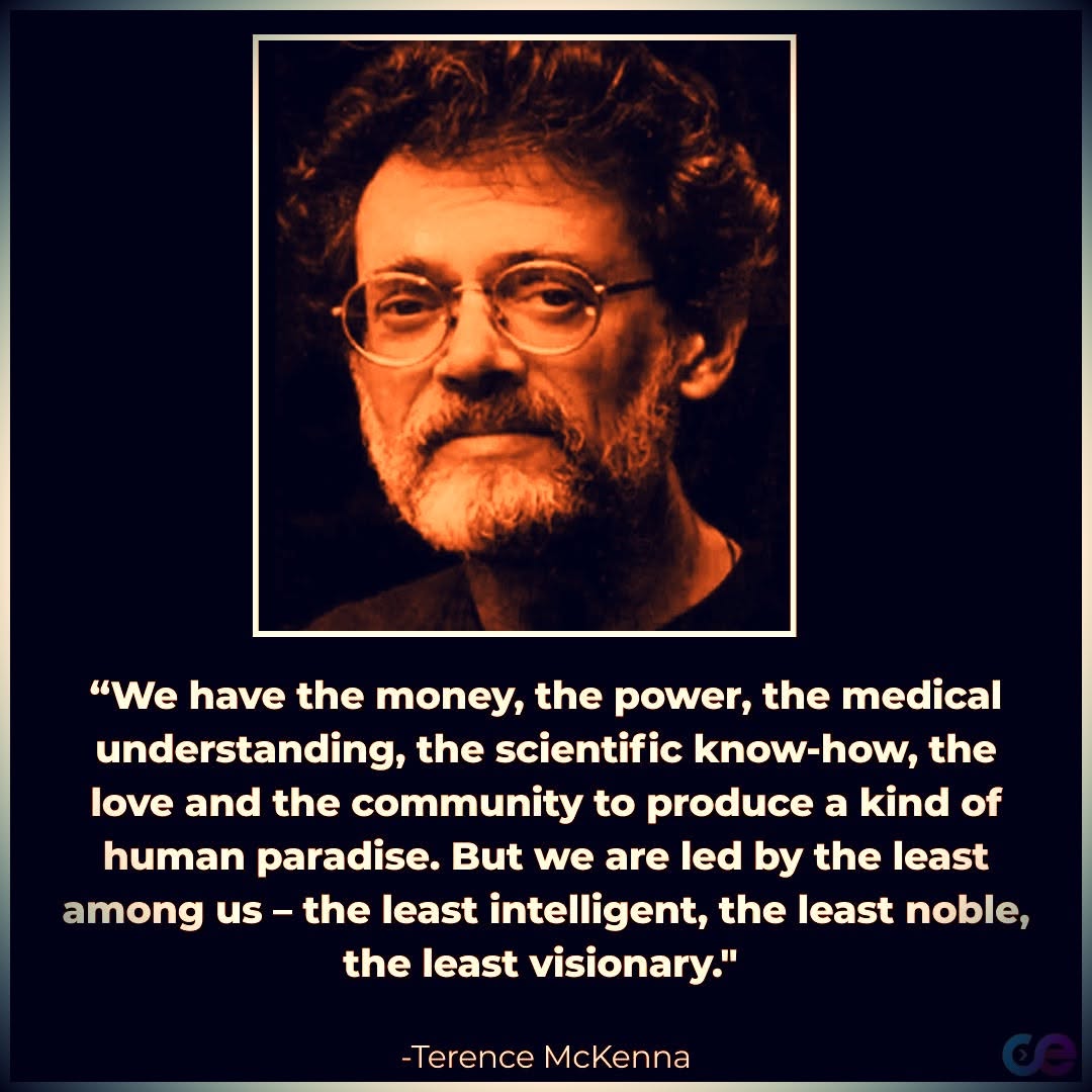 Terence McKenna Quote on leaders.jpg