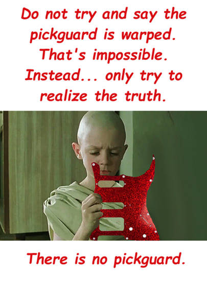 There is no pickguard.png