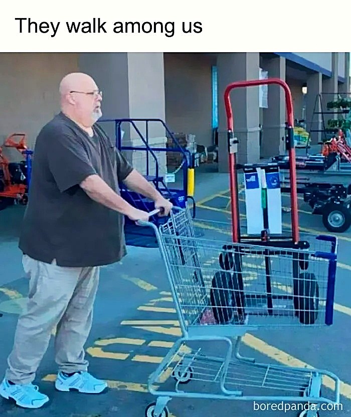 they walk .jpeg