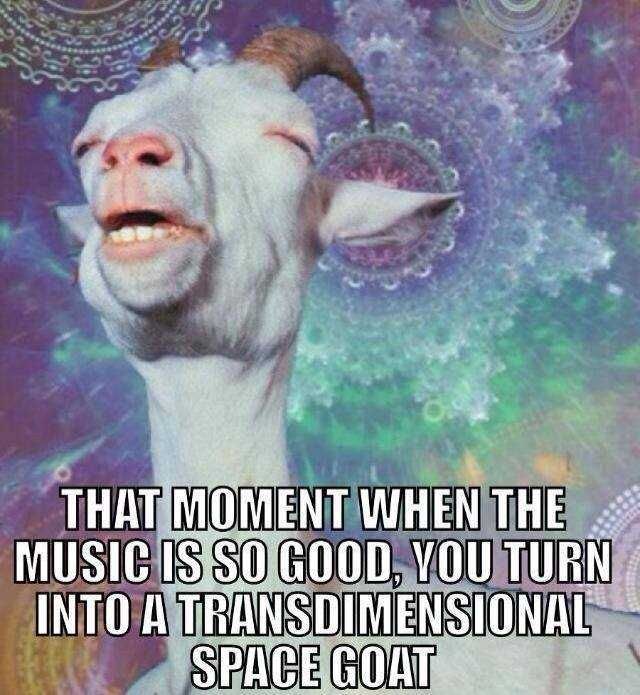 transdimensional-space-goat-is-my-new-band-name-v0-j5s8dsmkh6f81.jpg