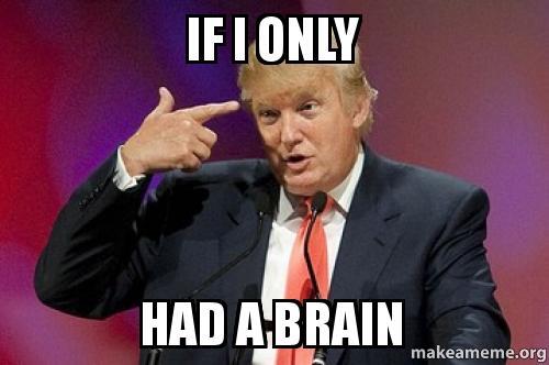 trump if i only had a brain.jpg