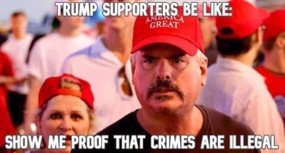 trump supporters show me proof that crimes are illegal 3 large.jpg
