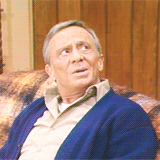 tumblr_mpatvb1C291qcmk4ho8_250[1].gif