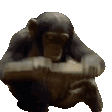 twitch-moderators-monke.gif