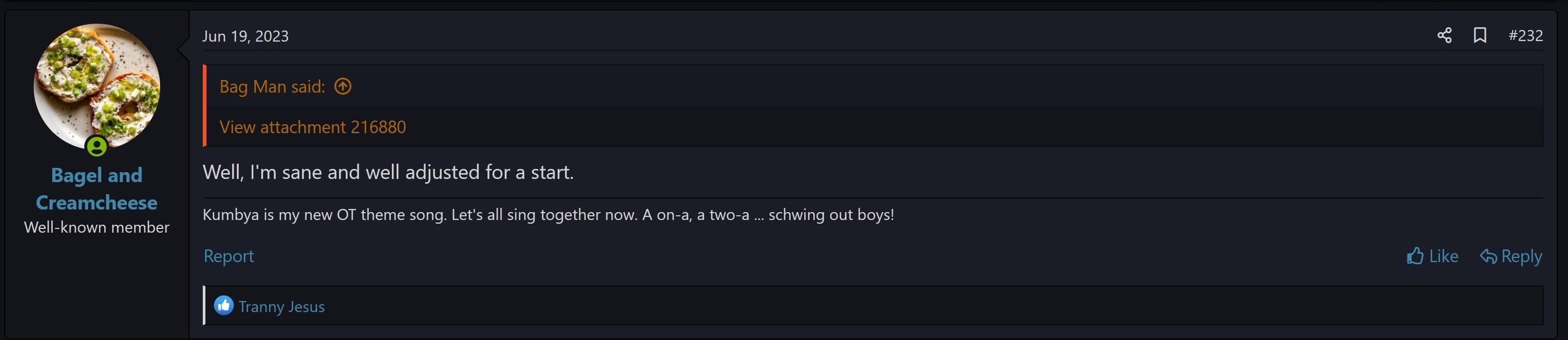 Well adjusted.jpg