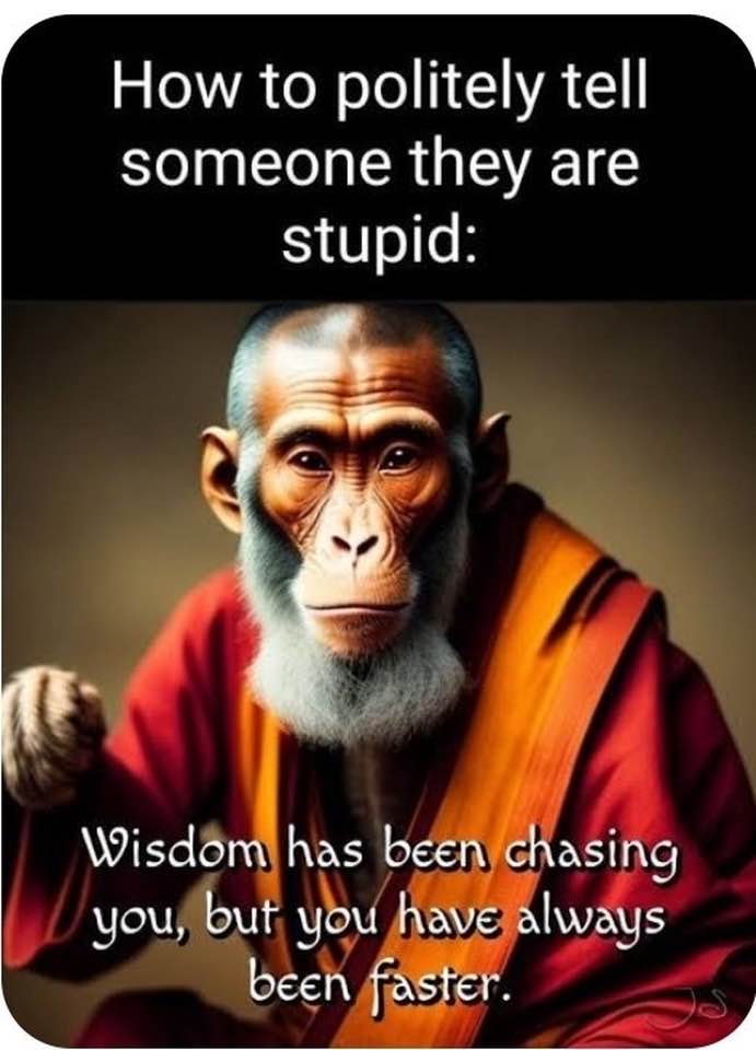 wisdom has been chasing you but you have always been faster.jpg