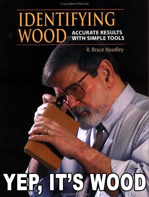 wood.jpeg