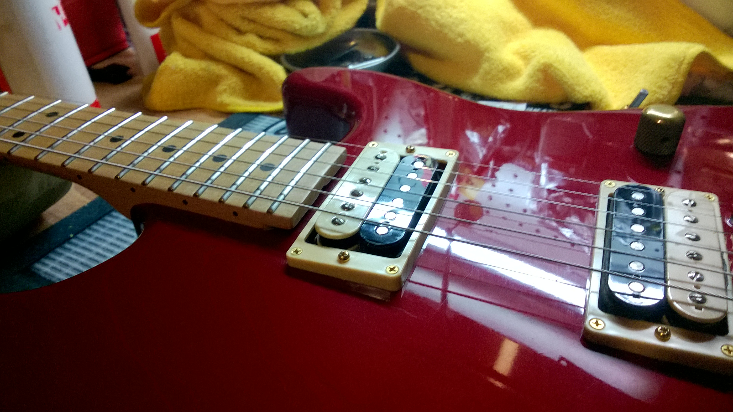 WP_20210603_007.jpg