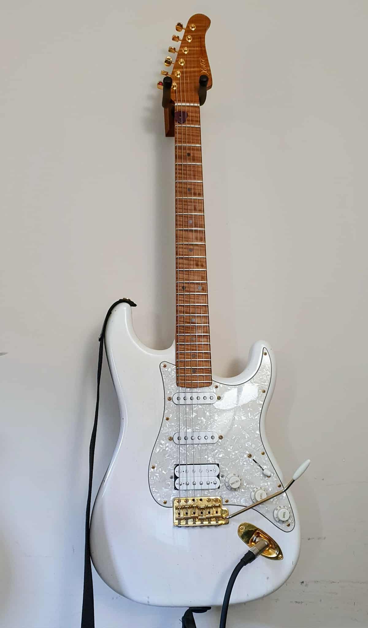 XoticXSC-1.jpg