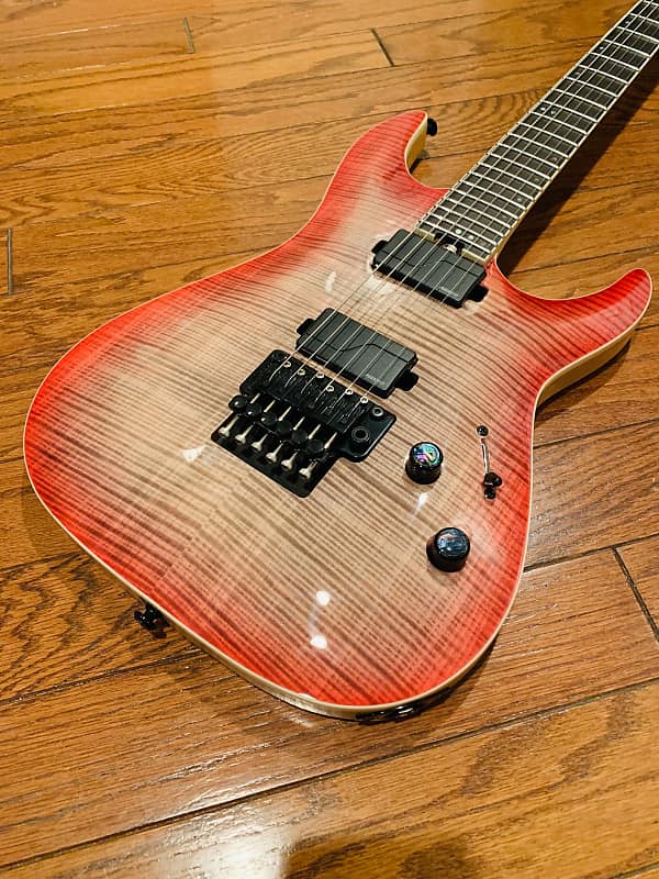 変更OK Schecter プロトタイプ | doppocucina.com.br