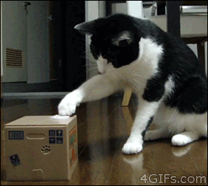 fmG0HmM_zps03516030.gif