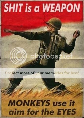 541545_385814791467925_197237244_n.jpg
