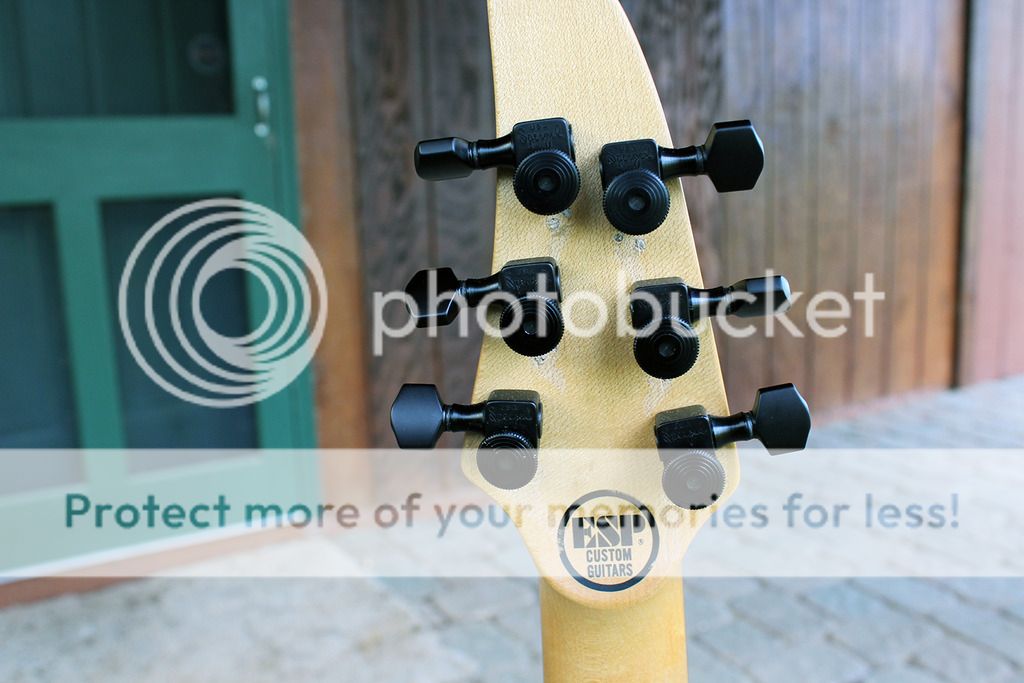 backheadstock_zpsvk786g1n.jpg