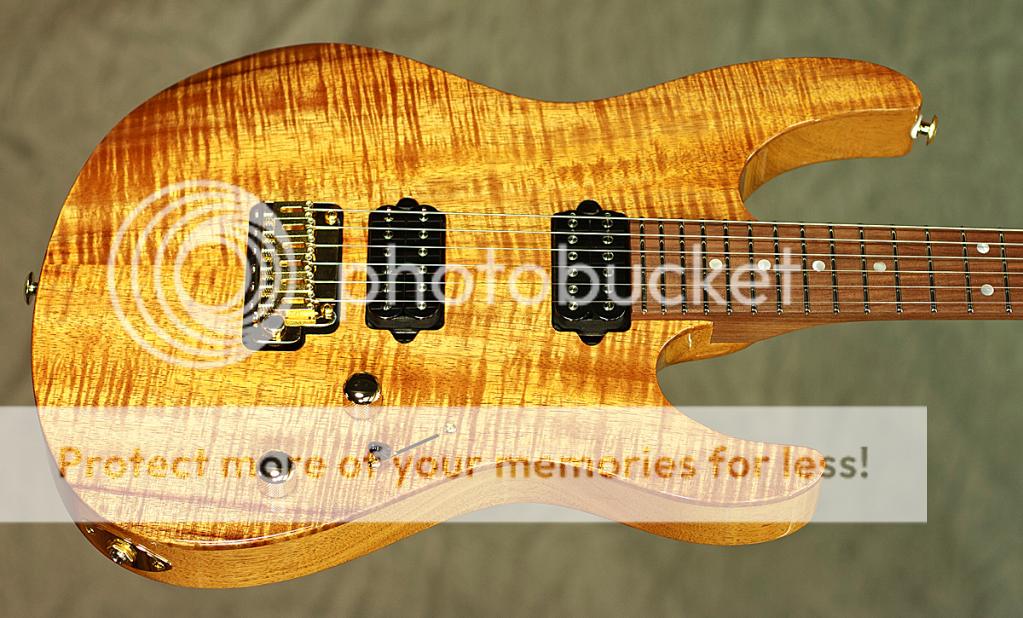SuhrModern-CurlyKoa3.png