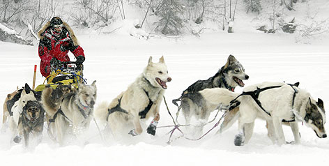iditarod-med.jpg