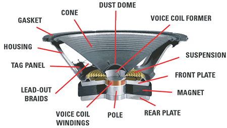 speaker_anatomy.gif