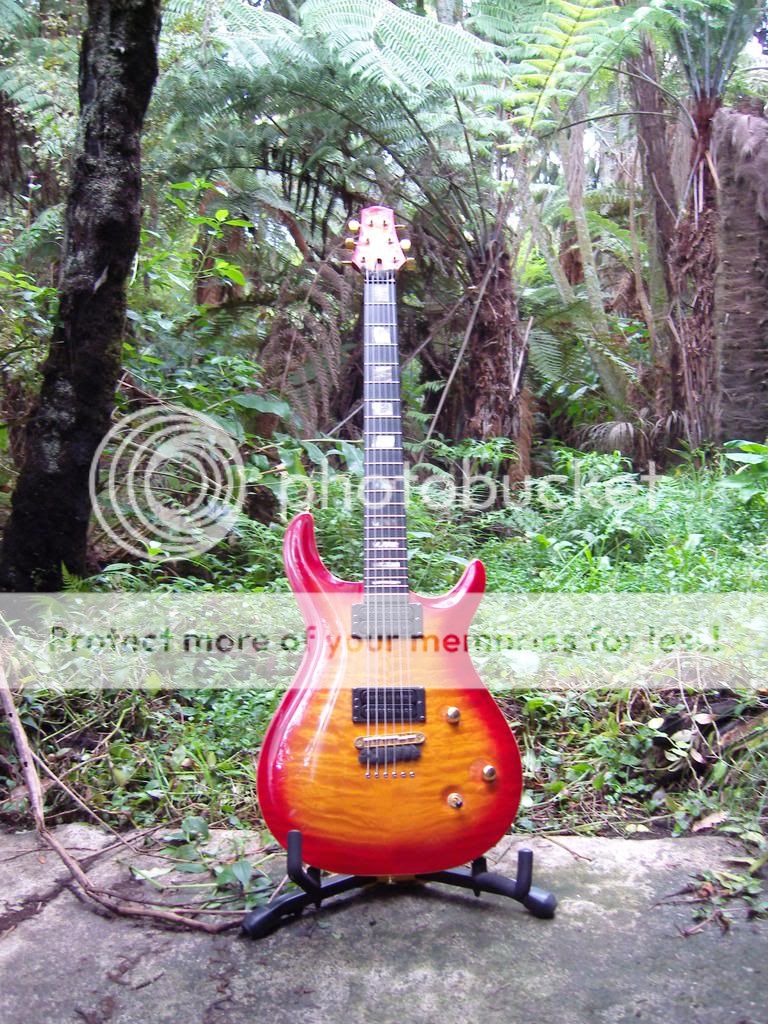 230408ZorransGuitarEquipment15.jpg