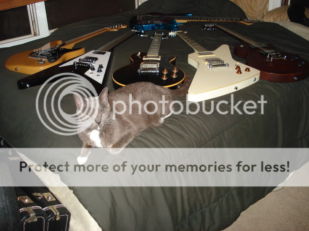 guitarsonbed002.jpg