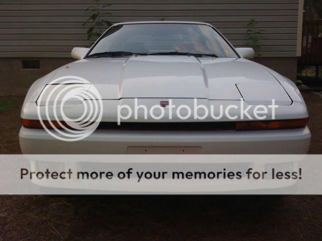 supra1.jpg