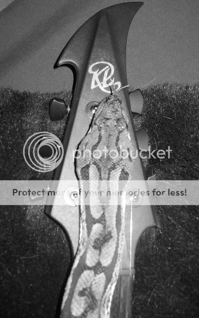 snakesonaheadstock.jpg
