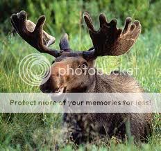 images-10.jpg