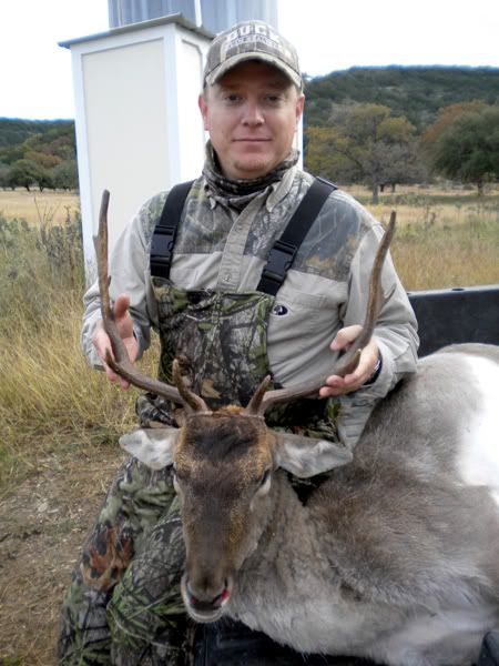 JoelsDeer.jpg